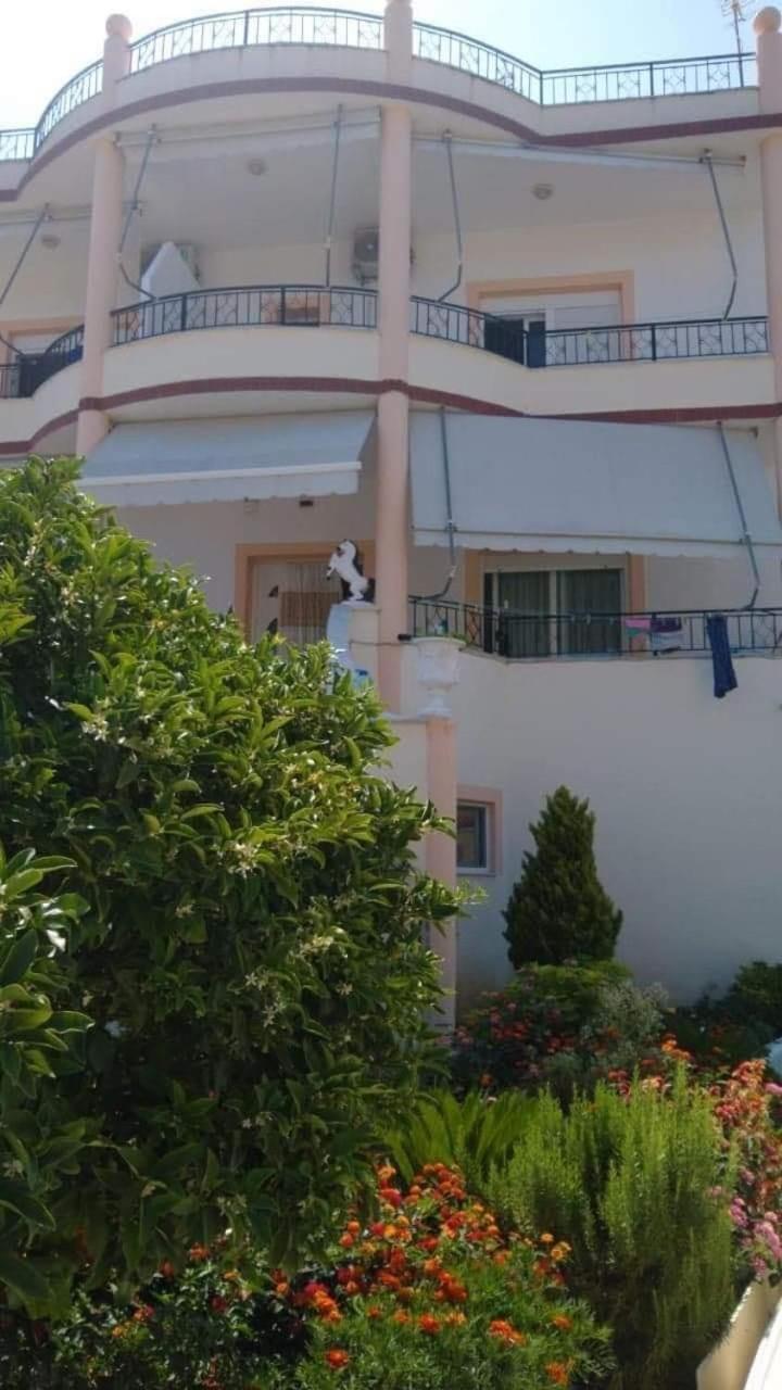 Apartments Rudi Orikum Esterno foto
